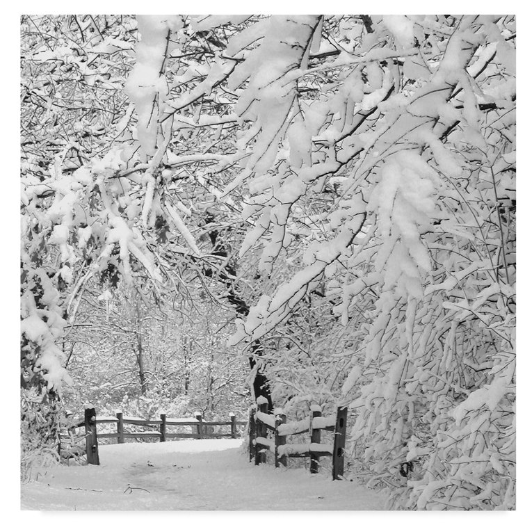 canvas print fr winter wonderland ipi studio canvas print fr winter wonderland ipi studio